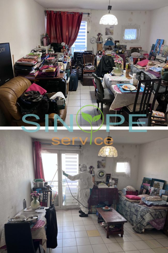 avant apres intervention syndrome de diogène chez les majeurs protégés sinope service