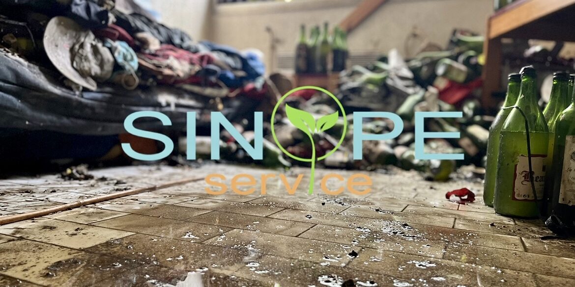 association syndrome de diogène association syndrome de diogène