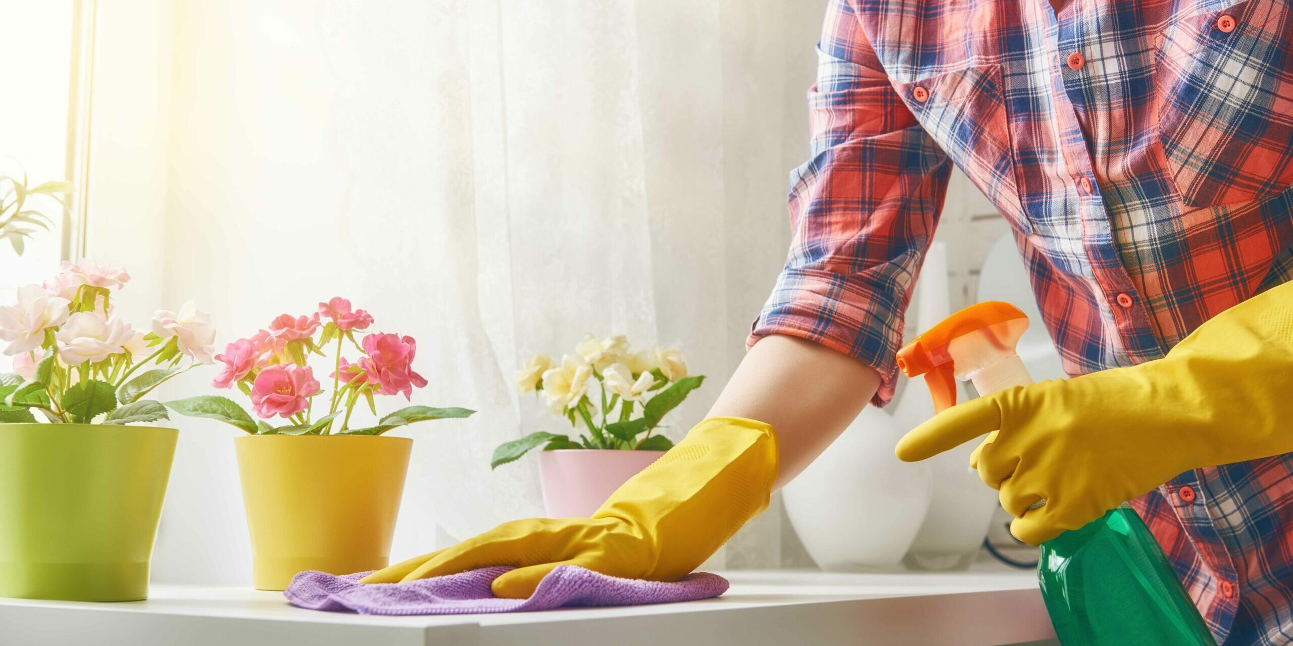 nettoyage et débarras de printemps